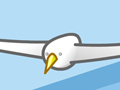 要做勤勞的海鳥(niǎo)